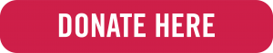 DONATE HERE BUTTON