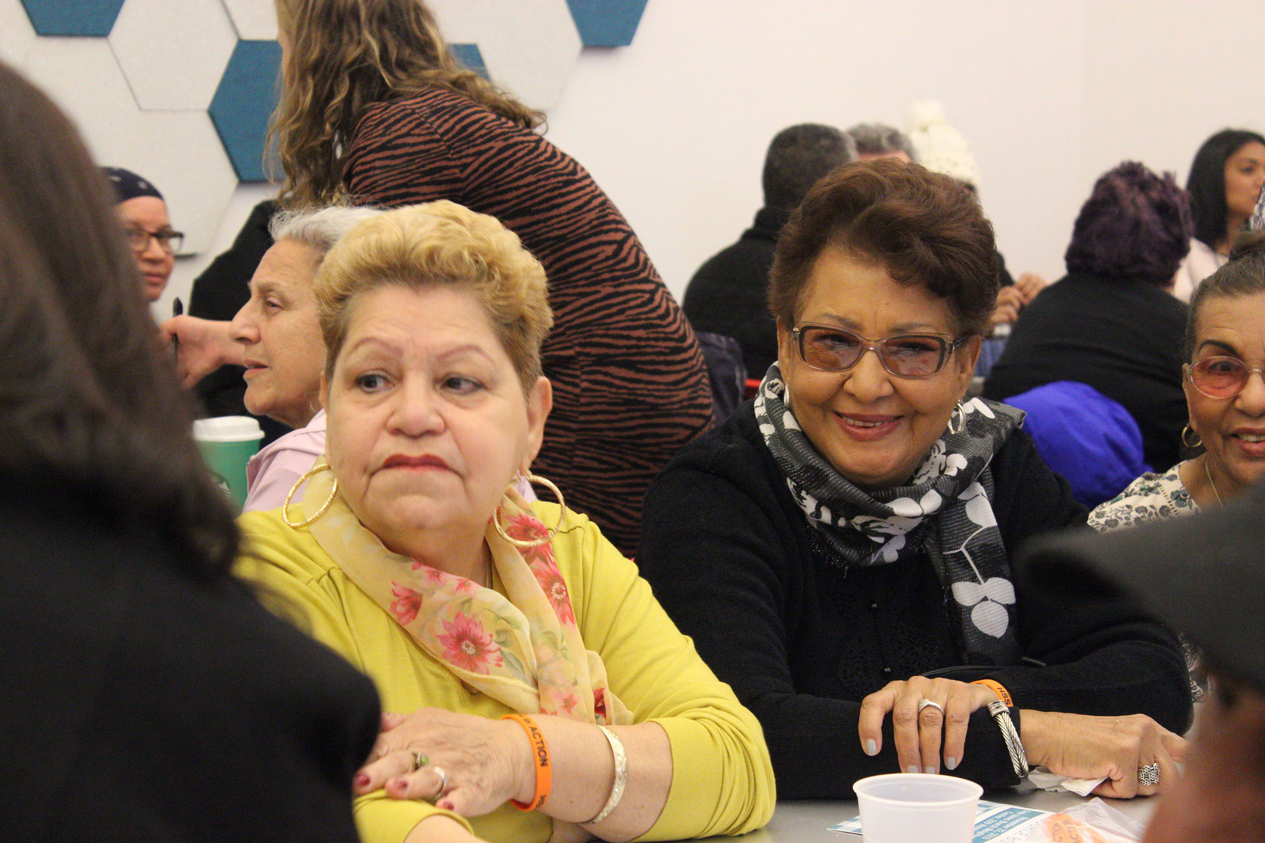 Two community seniors at Henry Street's 11/22 Senior Issues Town Hall meeting.