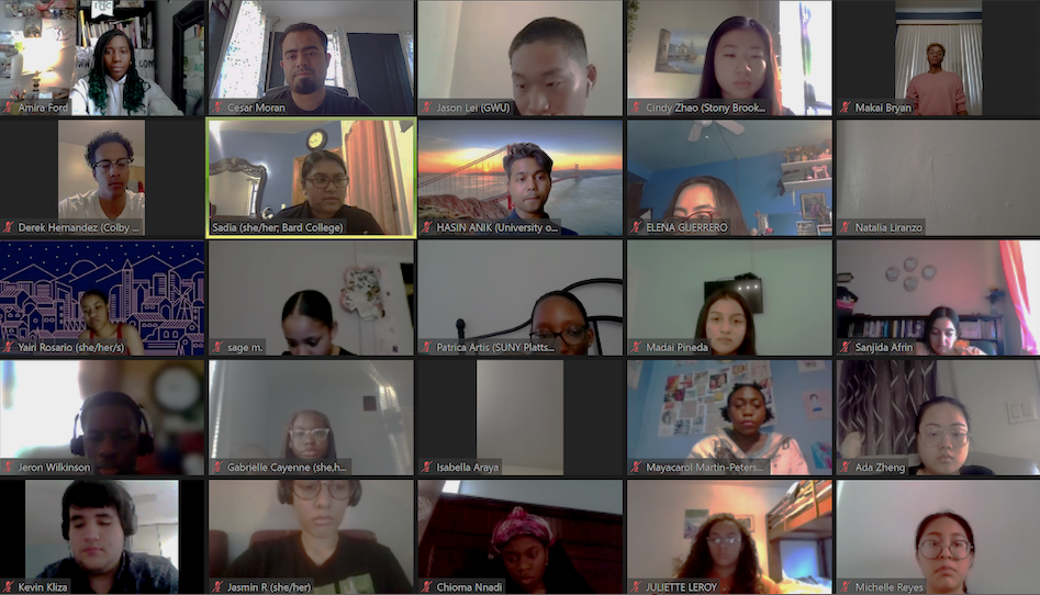 Screen shot of Zoom call featuring Expanded Horizons participants